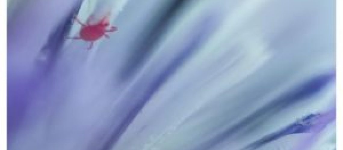 39645622215_e7bfb86737_o-300x200