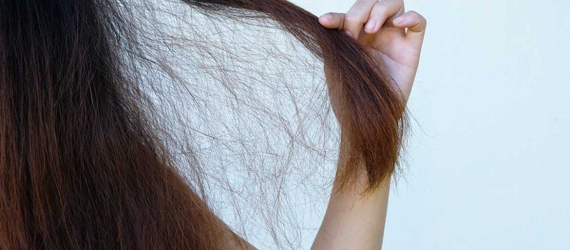 Saiba-como-tratar-o-ressecamento-do-cabelo